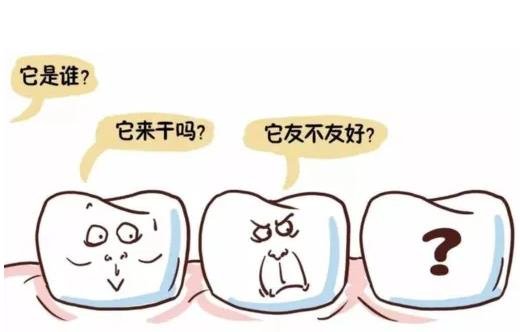 智齒到底要不要拔