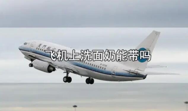 飛機(jī)上可以帶護(hù)膚品水乳洗面奶嗎 飛機(jī)上可以帶護(hù)膚品水乳洗面奶嗎