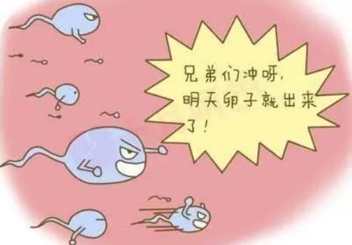 B超單有這個一般是女孩