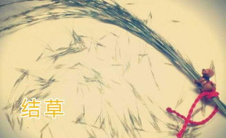 生當(dāng)隕首死當(dāng)結(jié)草典故,死當(dāng)結(jié)草典故出自哪里,死當(dāng)結(jié)草的典故出處