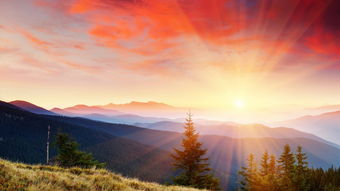 射夕陽(yáng)典故