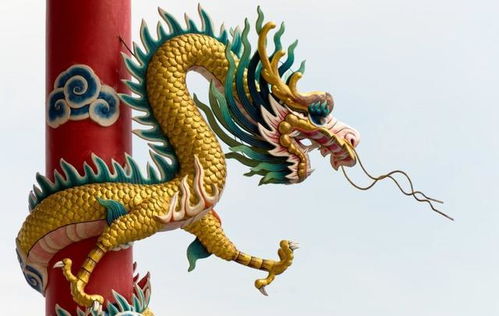 關(guān)于龍典故