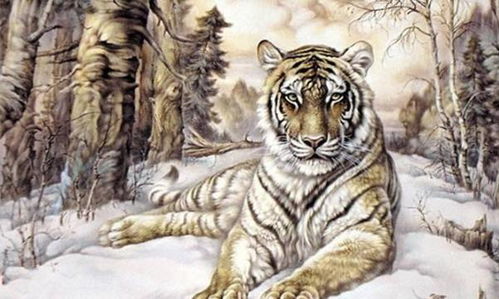 以德報(bào)怨典故孔子,以德報(bào)怨故事典故,以德報(bào)怨的典故有哪些