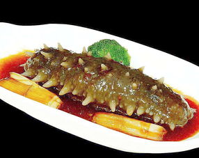 魯菜蔥燒海參的做法,魯菜大師蔥燒海參,魯菜蔥燒海參