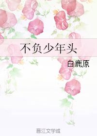 不負少年頭汪精衛(wèi),壯志不負少年頭,不負少年頭全詩解讀