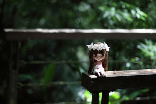 夢(mèng)里殺人典故