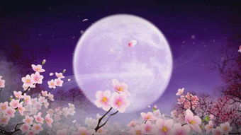 春江花月夜,典故