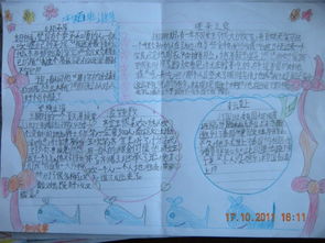 典故,成語(yǔ),手抄報(bào)