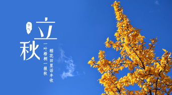 落葉知秋的典故