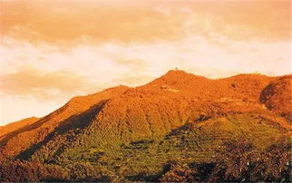 人生若只如初見驪山典故,驪山典故,驪山晚照的典故