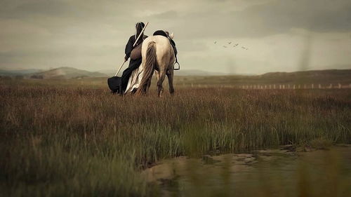 寫出歷史典故的