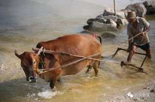 避風(fēng)港典故