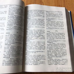 中國詩詞典故詞典