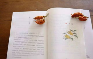 節(jié)氣,典故,二十四