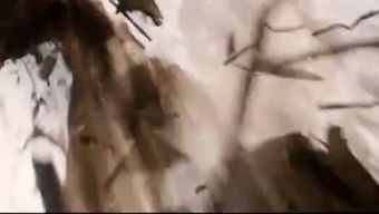 不贊一詞的意思和造句,不贊一詞中贊的意思,不贊一辭還是不贊一詞