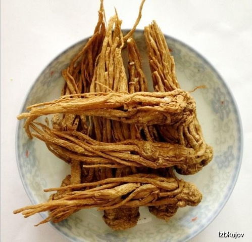 熟地當(dāng)歸典故,人參遠(yuǎn)志熟地當(dāng)歸典故,當(dāng)歸的故事典故