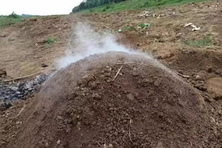 祖墳冒青煙的典故下集,祖墳冒青煙的典故出自哪里,祖墳冒青煙煙花