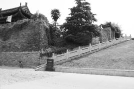 壽縣,典故,歷史