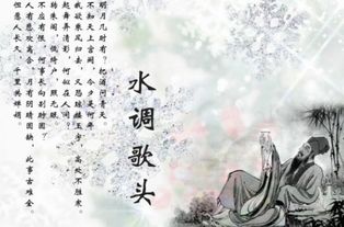 水調(diào)歌頭蘇軾典故