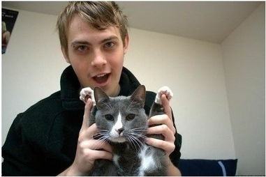 男不養(yǎng)貓典故,男不養(yǎng)貓典故古文,男不養(yǎng)貓典故出處