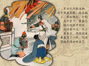 三國演義經(jīng)典故事,三國演義經(jīng)典故事20個(gè),三國演義經(jīng)典故事情節(jié)