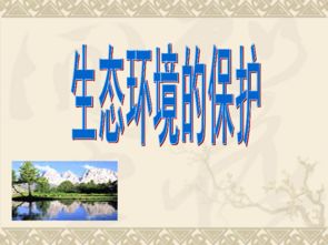 環(huán)境影響人的例子和典故,關(guān)于環(huán)境影響的典故,大環(huán)境影響人