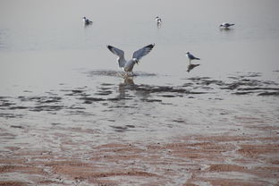 關(guān)于海的典故