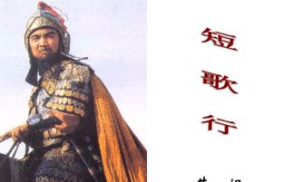 短歌行運(yùn)用典故的作用,短歌行典故賞析,短歌行運(yùn)用典故的句子