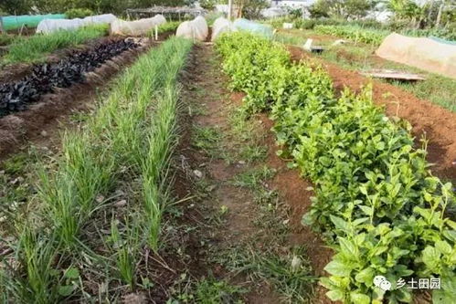 荀子勸學(xué)典故