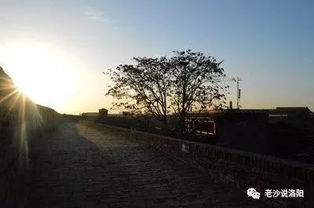 望長(zhǎng)安于日下典故