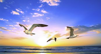 海闊天空的典故,退一步海闊天空典故,退一步海闊天空出自典故