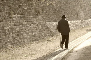 踽踽獨(dú)行的典故