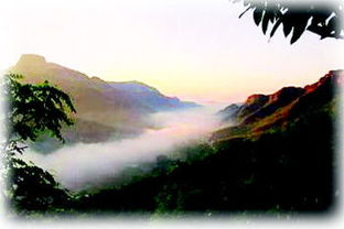 愛情典故詩句,形容愛情的典故,美好愛情的典故