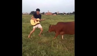 高山流水的典故和解釋,典故成語大全及解釋,三十六計典故及解釋