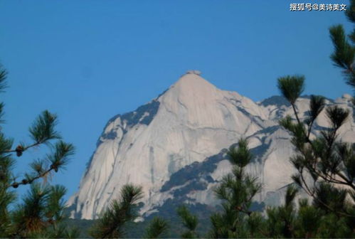 與王安石有關(guān)的典故,王安石的典故有哪些,王安石雙喜臨門(mén)的典故