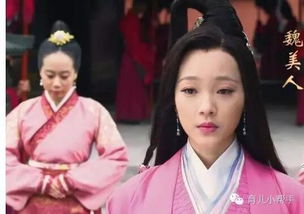 魏美人割鼻子典故,魏國(guó)美人割鼻的典故,魏美人割鼻是真的嗎