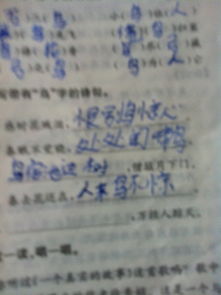 賈島的詩僧敲月下門典故,鳥宿池邊樹僧敲月下門典故,賈島僧敲月下門的典故