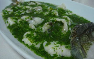 鱸魚莼菜的典故