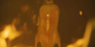 趨之若鶩的典故