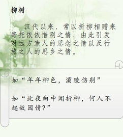 尊敬老師的典故,歌頌老師的典故故事,歌頌老師的典故影視劇