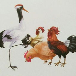 鶴立雞群典故,鶴立雞群典故簡說,鶴立雞群典故出處