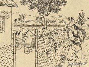 偷雞摸狗典故,偷雞摸狗的典故源自,偷雞摸狗出自哪個(gè)典故