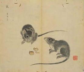 鼠無(wú)牙典故