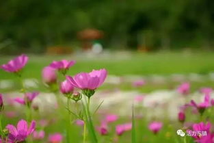 慈溪慈孝文化典故,關于孝的典故,與孝有關的典故