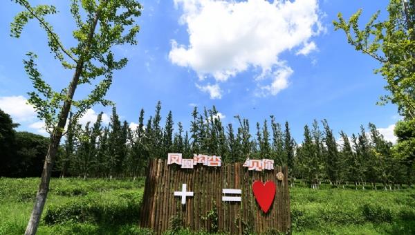 鳳凰溝風(fēng)景區(qū)