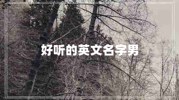 好聽的英文名字男
