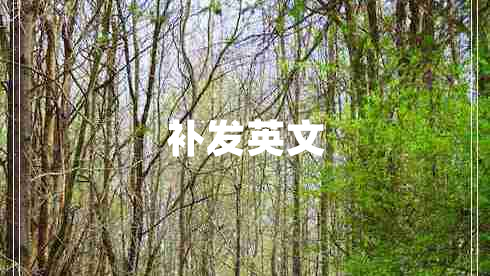 補(bǔ)發(fā)英文