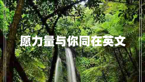 愿力量與你同在英文