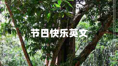 節(jié)日快樂英文