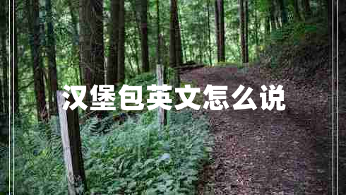 漢堡包英文怎么說